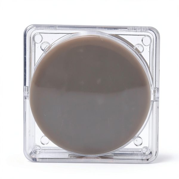 Deschem 47mm MCE Membrane Filter 0.45µm Lab Filter 50 Pack-2