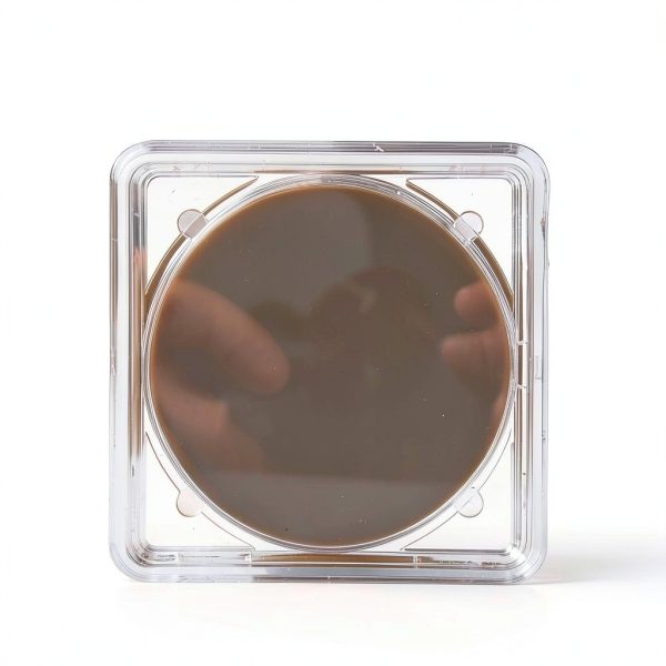Deschem 47mm MCE Membrane Filter 0.45µm Lab Filter 50 Pack-3