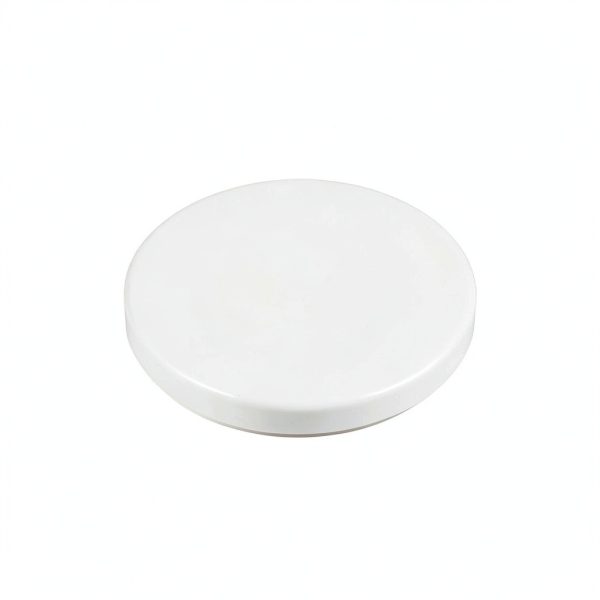 GVS Filter Technology Filter Disc NY Membrane 0.45µm 47mm Pack of 100-1
