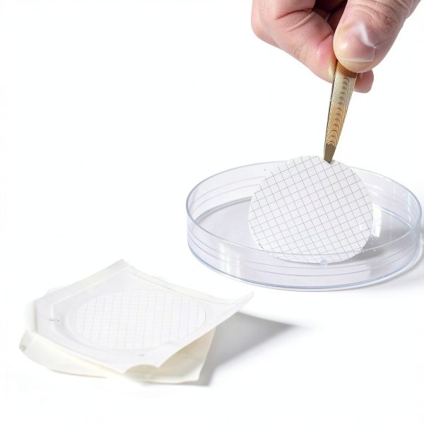 MCE Gridded Membrane Filter 47mm 0.45μm 100 Pack Cobetter Sterile-1