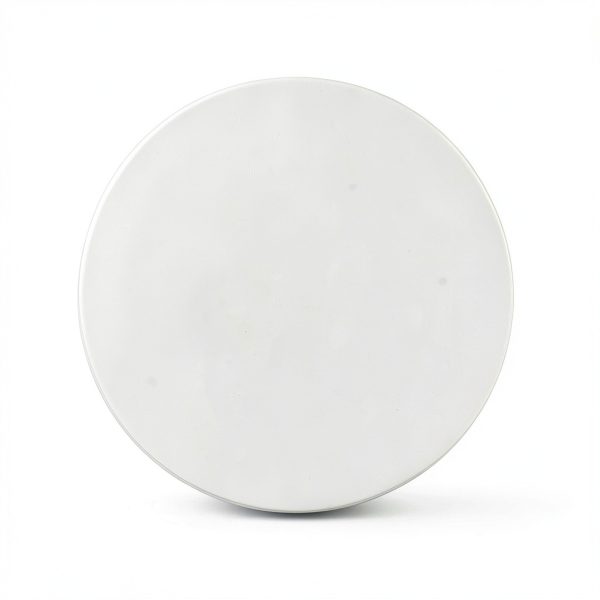 Nylon Membrane Filter Deschem 80mm Lab Filter 0.22um Pore Size 50 Pack-2