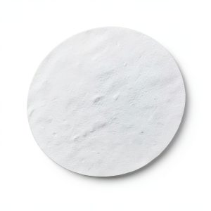 PP Membrane Filter 47mm 10um Polypropylene Lab Filter by Deschem-0