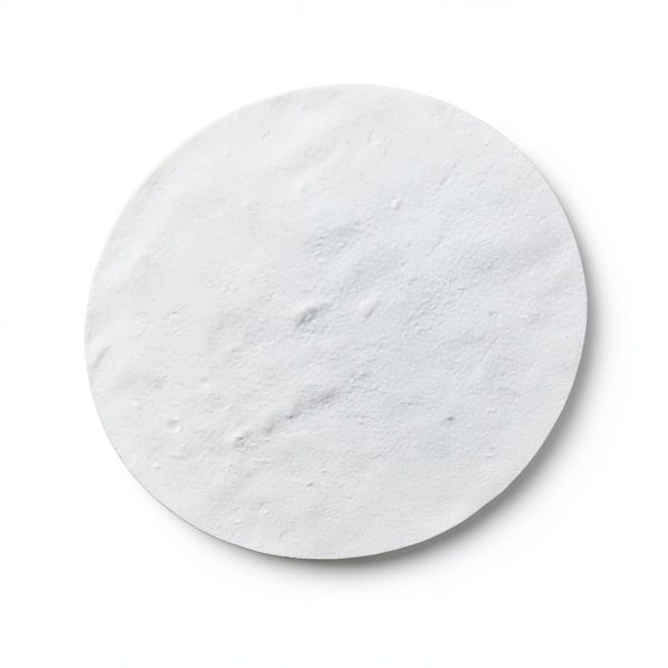 PP Membrane Filter 47mm 10um Polypropylene Lab Filter by Deschem-0