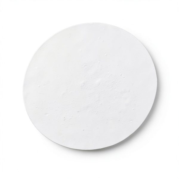 PP Membrane Filter 47mm 10um Polypropylene Lab Filter by Deschem-4